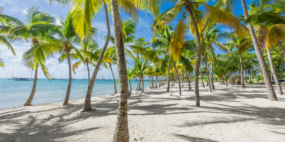 Circuit Guadeloupe La Guadeloupe Côté Plage Worldia